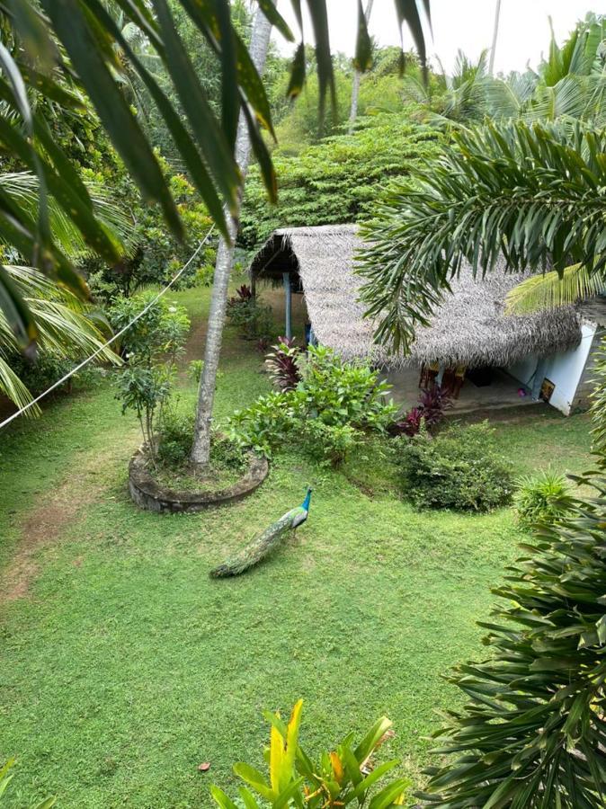 Hiru Villa Tangalle Esterno foto